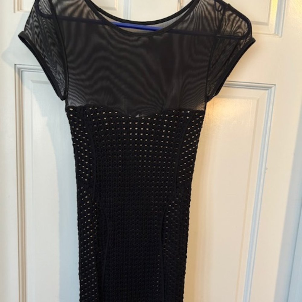 Bebe Dotted Mesh Panel Bodycon Mini